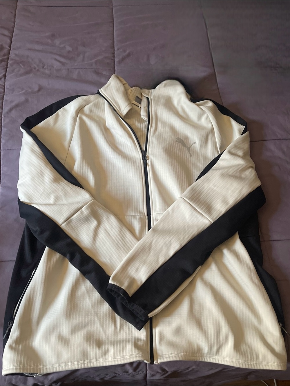 Puma Full-Zip WarmCell EvoStripe Hoodie Alpine Snow Men's XXL